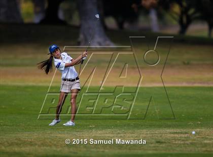 Thumbnail 2 in CIF 2015 Golf Championships photogallery.