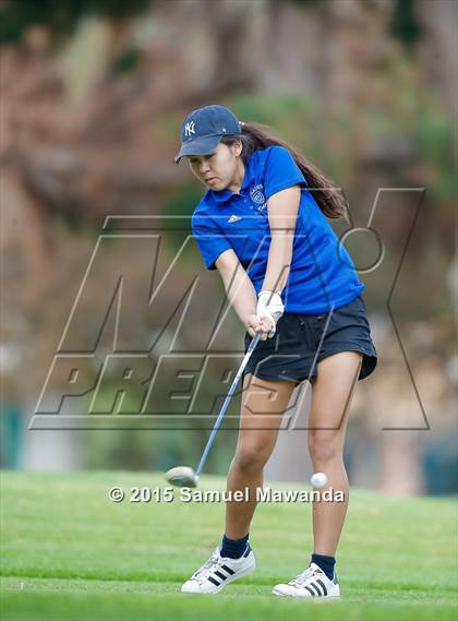 Thumbnail 1 in CIF 2015 Golf Championships photogallery.