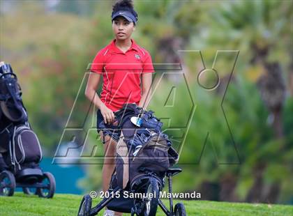 Thumbnail 1 in CIF 2015 Golf Championships photogallery.