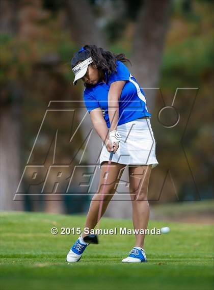 Thumbnail 3 in CIF 2015 Golf Championships photogallery.