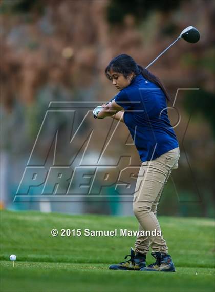 Thumbnail 2 in CIF 2015 Golf Championships photogallery.