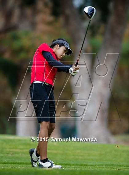Thumbnail 3 in CIF 2015 Golf Championships photogallery.