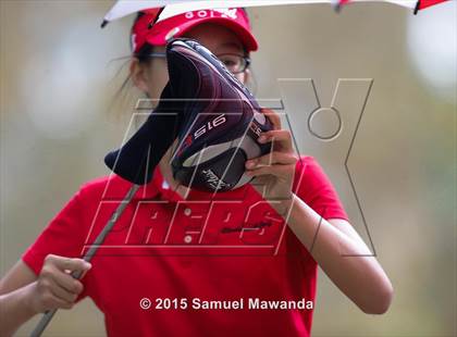 Thumbnail 1 in CIF 2015 Golf Championships photogallery.