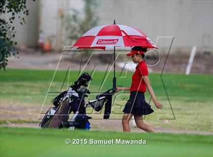 Thumbnail 1 in CIF 2015 Golf Championships photogallery.