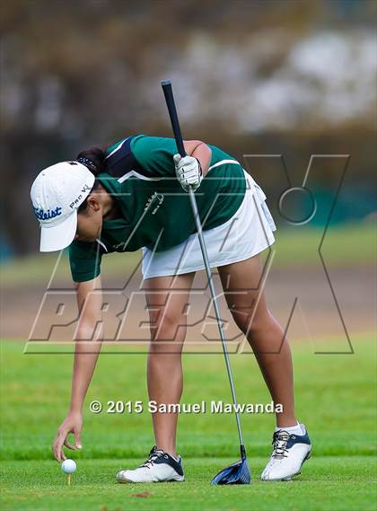 Thumbnail 2 in CIF 2015 Golf Championships photogallery.