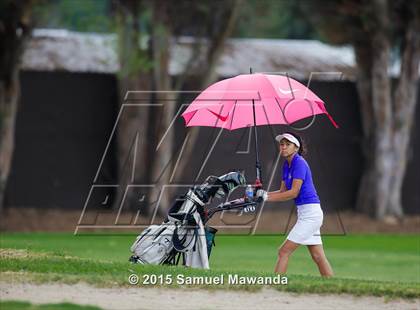 Thumbnail 2 in CIF 2015 Golf Championships photogallery.