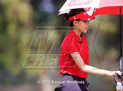 Thumbnail 2 in CIF 2015 Golf Championships photogallery.