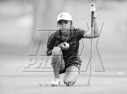 Thumbnail 1 in CIF 2015 Golf Championships photogallery.