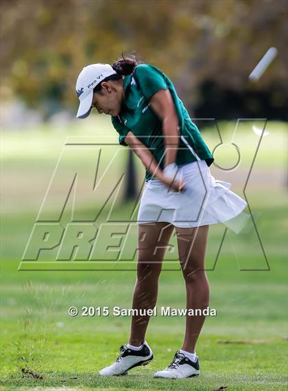 Thumbnail 1 in CIF 2015 Golf Championships photogallery.