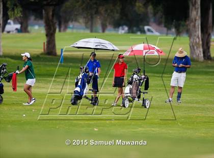 Thumbnail 3 in CIF 2015 Golf Championships photogallery.