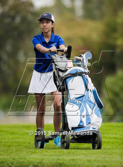 Thumbnail 2 in CIF 2015 Golf Championships photogallery.