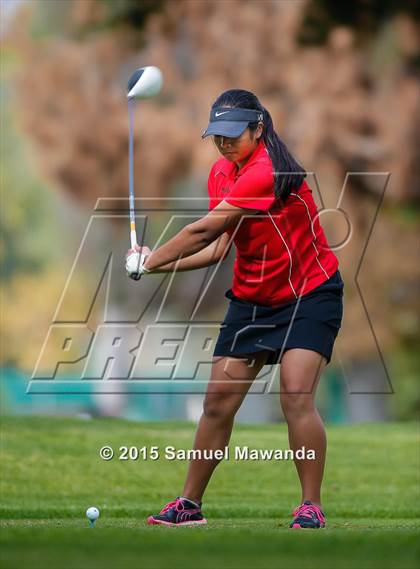 Thumbnail 1 in CIF 2015 Golf Championships photogallery.