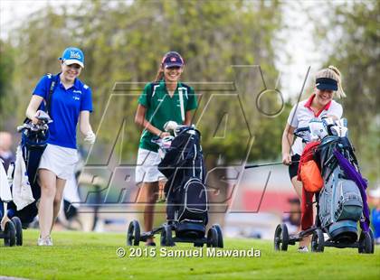 Thumbnail 1 in CIF 2015 Golf Championships photogallery.