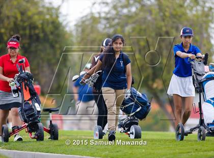 Thumbnail 1 in CIF 2015 Golf Championships photogallery.
