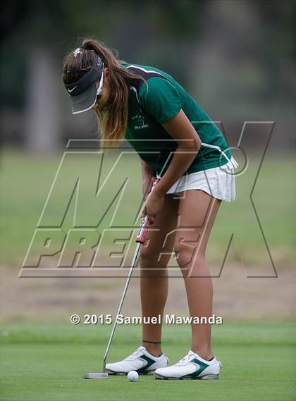 Thumbnail 2 in CIF 2015 Golf Championships photogallery.