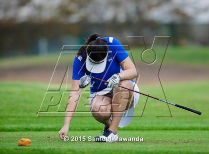 Thumbnail 3 in CIF 2015 Golf Championships photogallery.