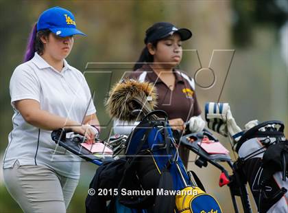 Thumbnail 2 in CIF 2015 Golf Championships photogallery.