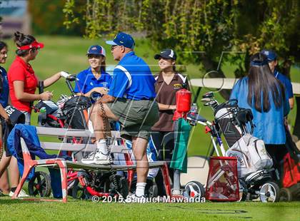 Thumbnail 3 in CIF 2015 Golf Championships photogallery.