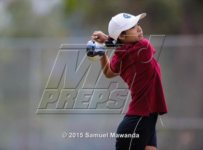 Thumbnail 2 in CIF 2015 Golf Championships photogallery.