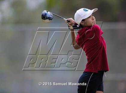 Thumbnail 3 in CIF 2015 Golf Championships photogallery.