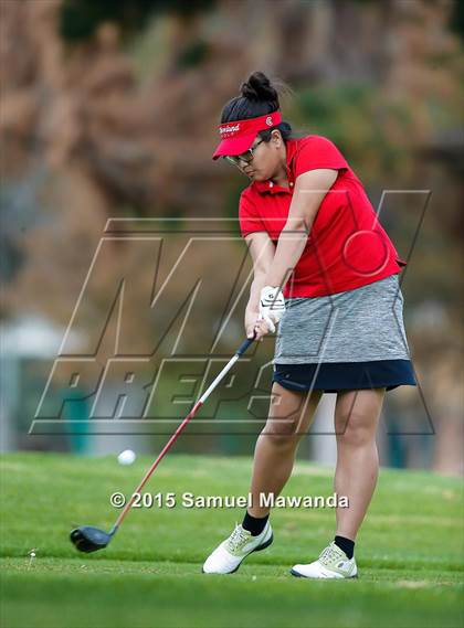Thumbnail 2 in CIF 2015 Golf Championships photogallery.