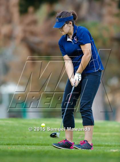 Thumbnail 3 in CIF 2015 Golf Championships photogallery.