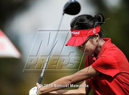 Thumbnail 1 in CIF 2015 Golf Championships photogallery.