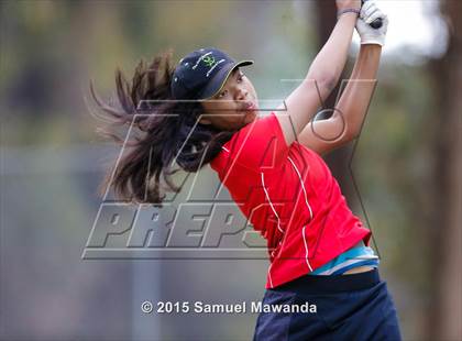 Thumbnail 2 in CIF 2015 Golf Championships photogallery.