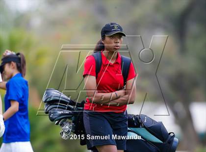 Thumbnail 2 in CIF 2015 Golf Championships photogallery.