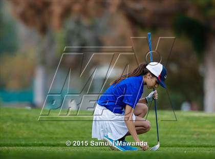 Thumbnail 1 in CIF 2015 Golf Championships photogallery.