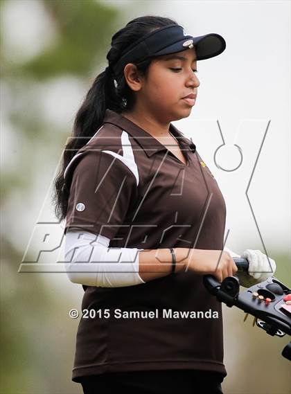 Thumbnail 2 in CIF 2015 Golf Championships photogallery.