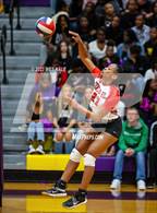 Photo from the gallery "Center Hill @ DeSoto Central"