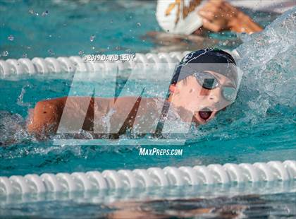 Thumbnail 3 in Desert Vista @ Basha photogallery.