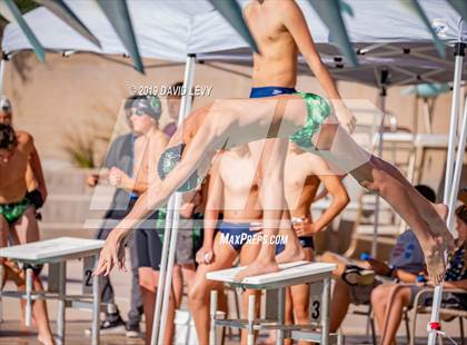 Thumbnail 1 in Desert Vista @ Basha photogallery.
