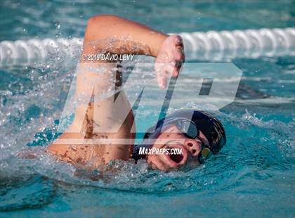 Thumbnail 3 in Desert Vista @ Basha photogallery.