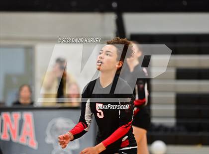 Thumbnail 3 in Littleton vs Pomona photogallery.