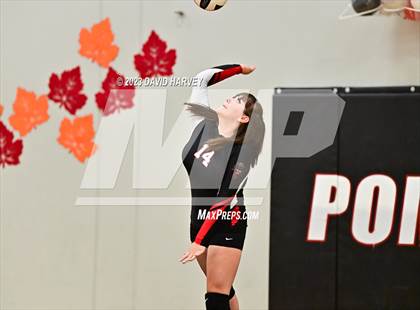 Thumbnail 3 in Littleton vs Pomona photogallery.