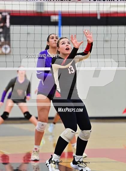 Thumbnail 1 in Littleton vs Pomona photogallery.