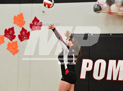 Thumbnail 3 in Littleton vs Pomona photogallery.