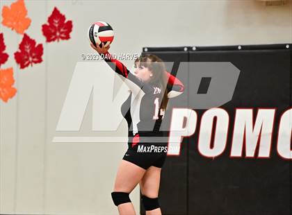 Thumbnail 3 in Littleton vs Pomona photogallery.