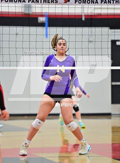 Thumbnail 1 in Littleton vs Pomona photogallery.