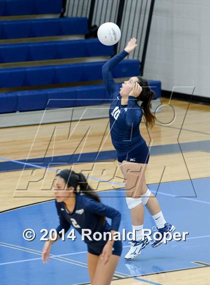Thumbnail 3 in Naaman Forest @ Wylie East photogallery.