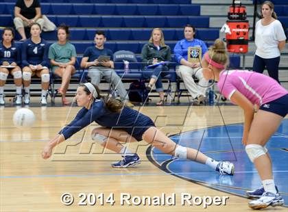 Thumbnail 2 in Naaman Forest @ Wylie East photogallery.
