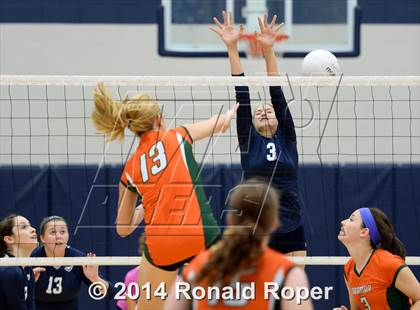 Thumbnail 2 in Naaman Forest @ Wylie East photogallery.
