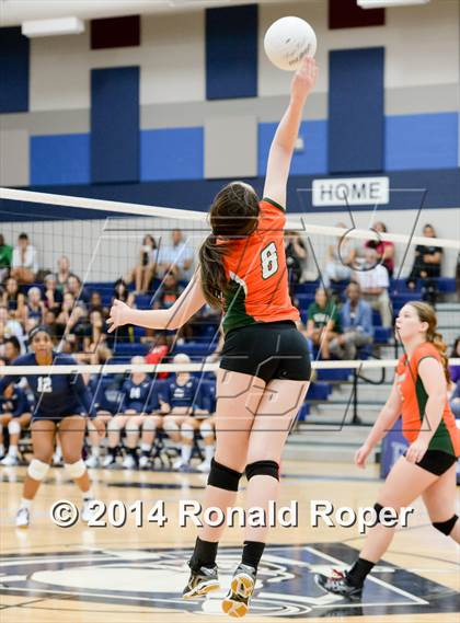 Thumbnail 3 in Naaman Forest @ Wylie East photogallery.