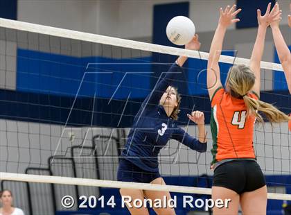 Thumbnail 2 in Naaman Forest @ Wylie East photogallery.