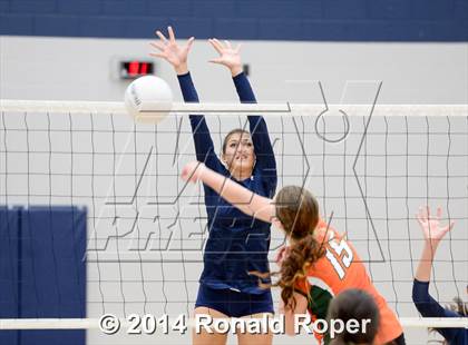 Thumbnail 1 in Naaman Forest @ Wylie East photogallery.