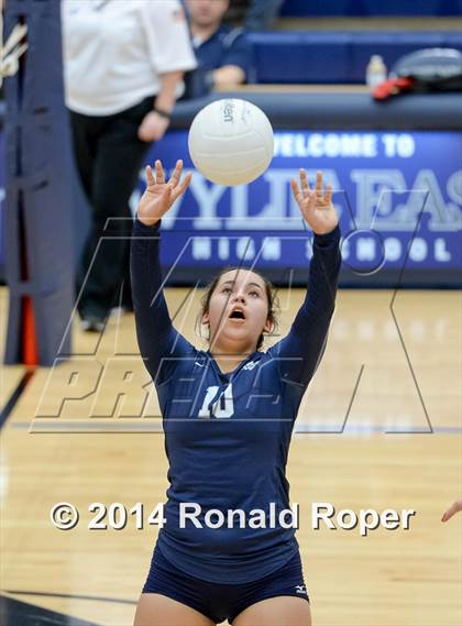 Thumbnail 3 in Naaman Forest @ Wylie East photogallery.