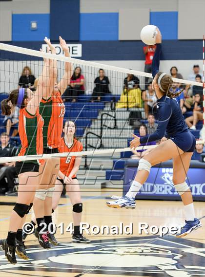 Thumbnail 2 in Naaman Forest @ Wylie East photogallery.