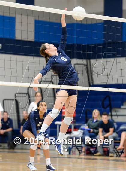 Thumbnail 3 in Naaman Forest @ Wylie East photogallery.